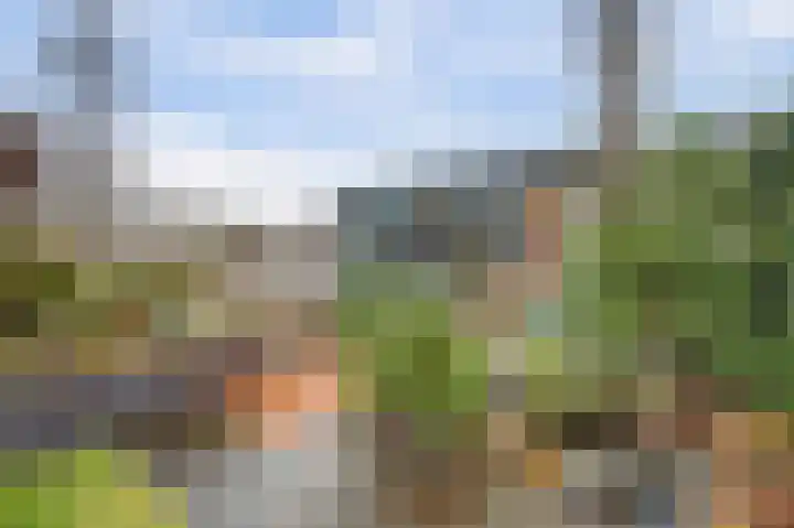 Eikstraat 26 Drunen thumbnail 52