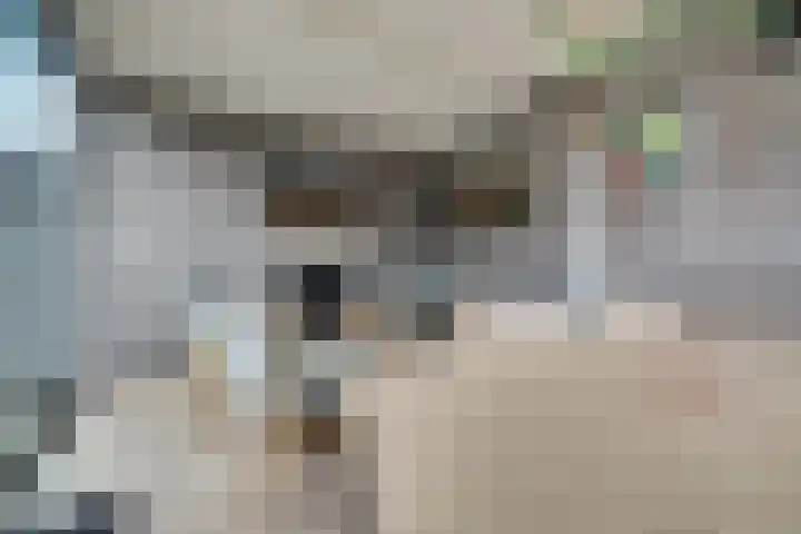 Eikstraat 26 Drunen thumbnail 56