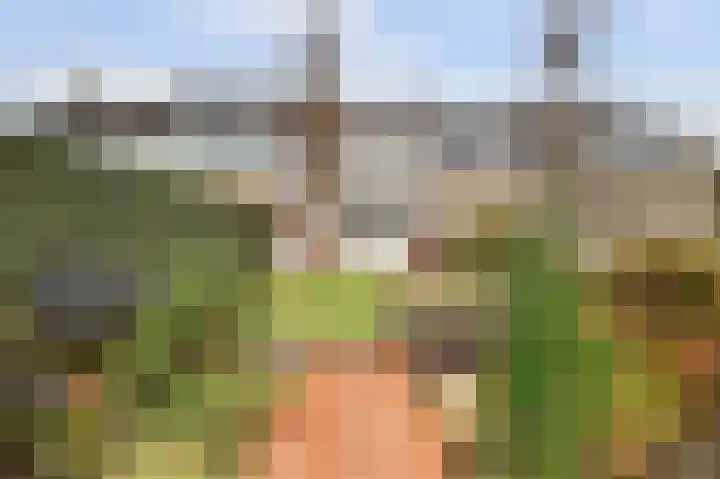 Eikstraat 26 Drunen thumbnail 58