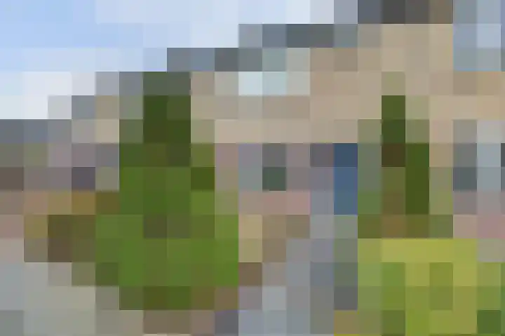 Eikstraat 26 Drunen thumbnail 69