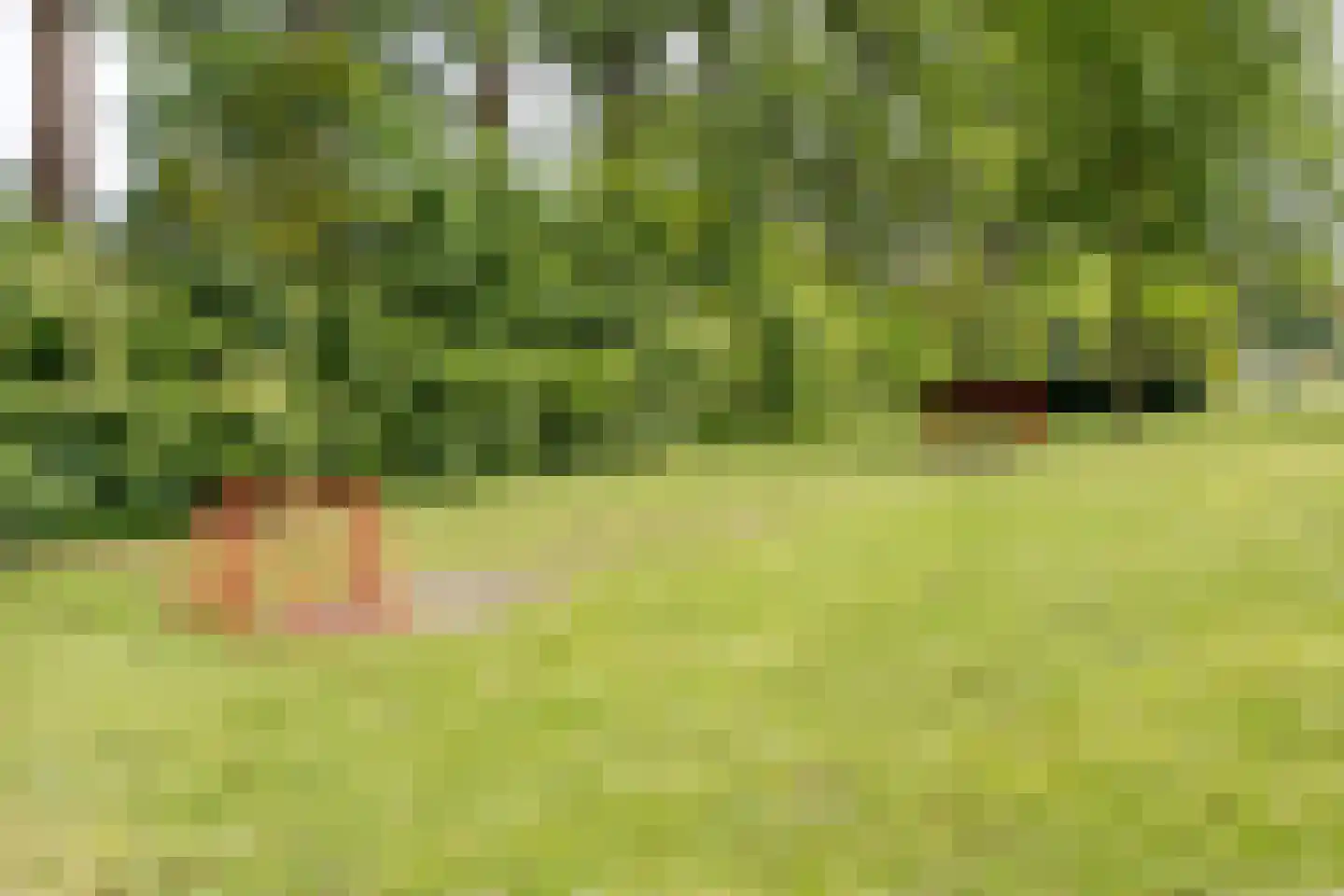 Eikstraat 29 Drunen thumbnail 47