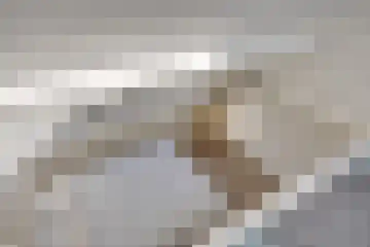 Eikstraat 29 Utrecht thumbnail 29