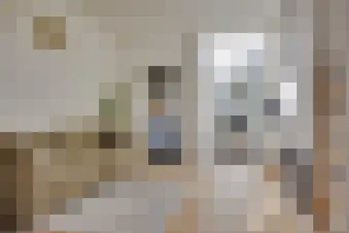 Eikstraat 29 Utrecht thumbnail 8