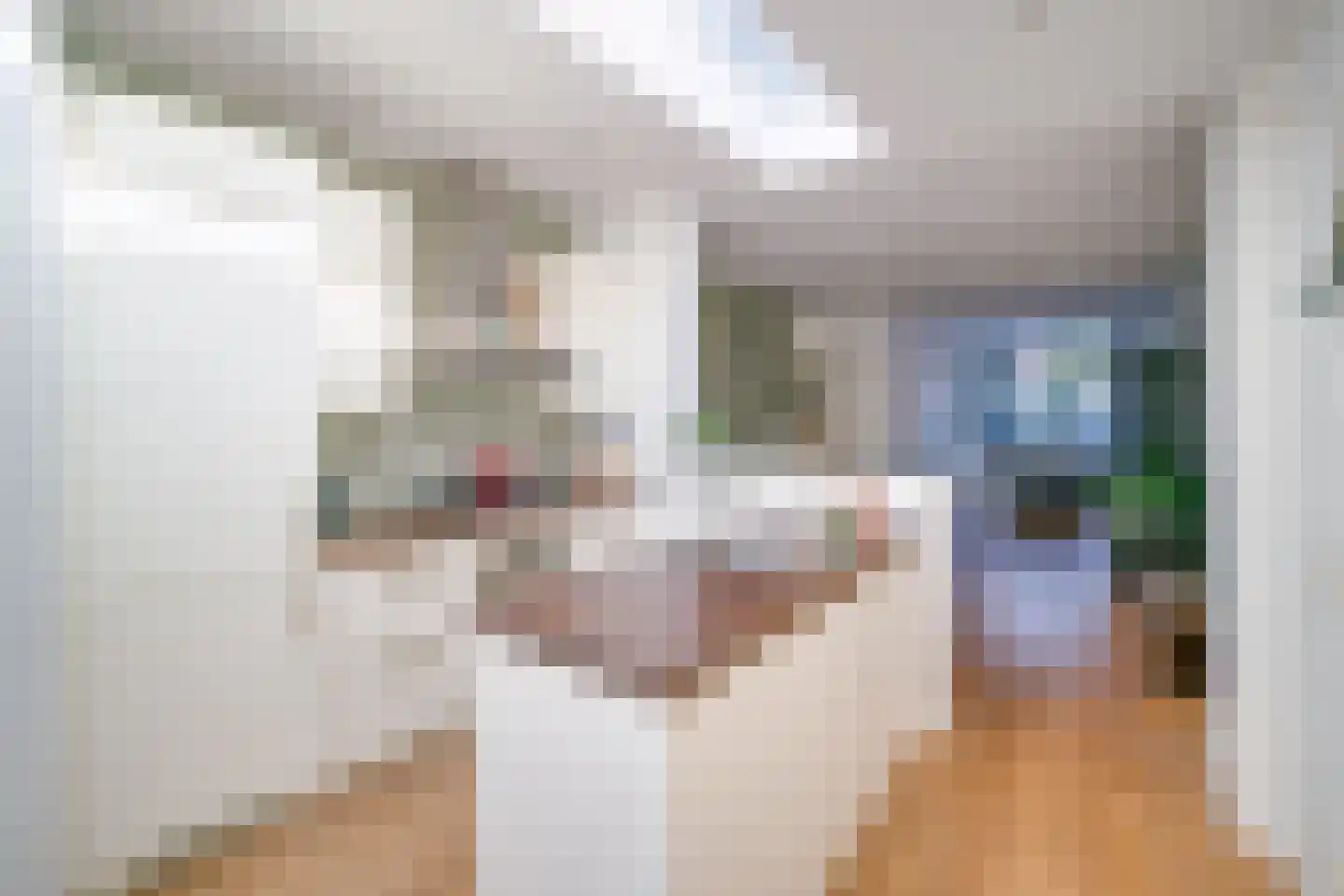 Eikstraat 3 Utrecht thumbnail 15