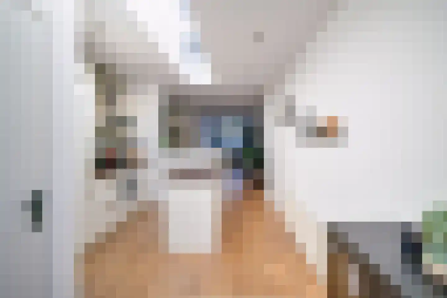 Eikstraat 3 Utrecht thumbnail 17