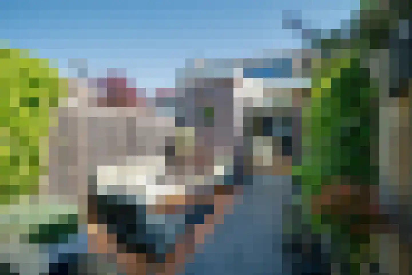 Eikstraat 3 Utrecht thumbnail 23