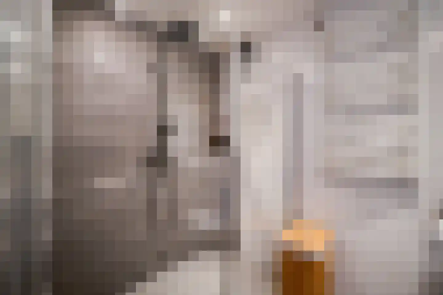 Eikstraat 3 Utrecht thumbnail 32