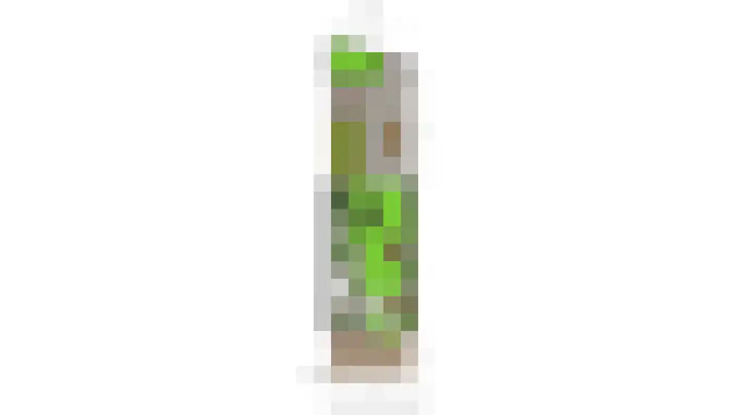 Eikstraat 30 Breda thumbnail 36