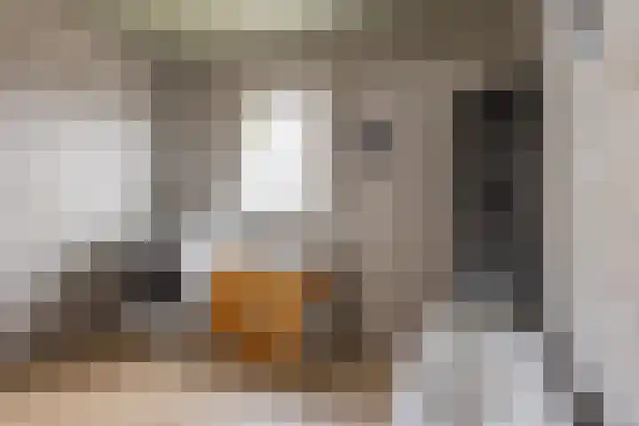 Eikstraat 32 Echt thumbnail 19