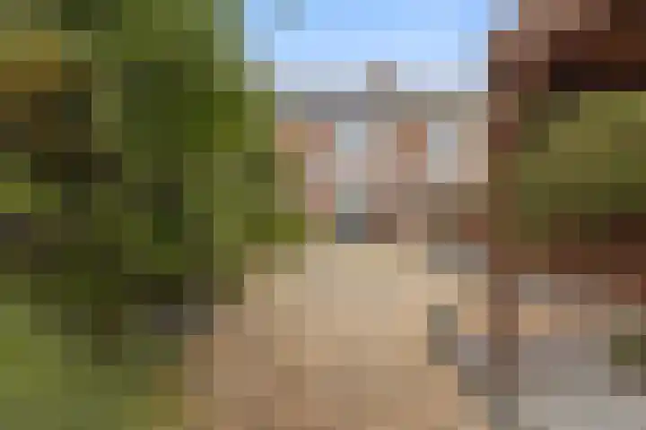 Eikstraat 32 Echt thumbnail 29