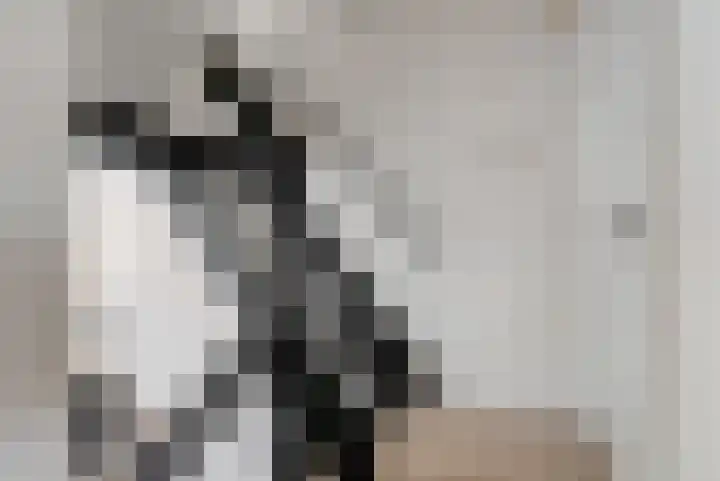 Eikstraat 36 Nieuwegein thumbnail 36