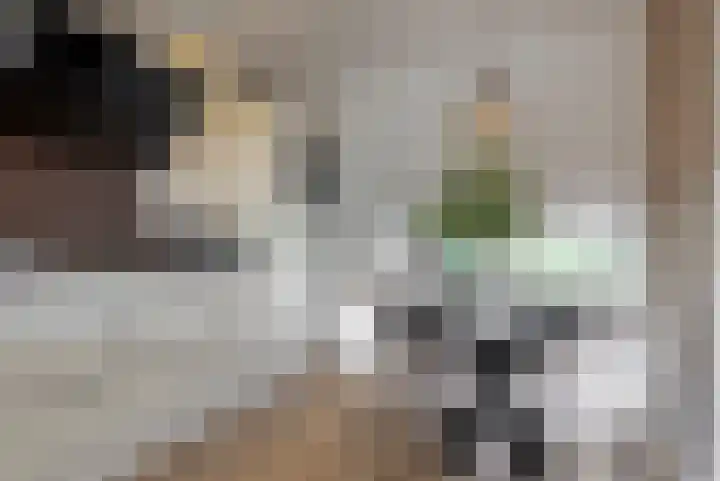 Eikstraat 36 Nieuwegein thumbnail 6