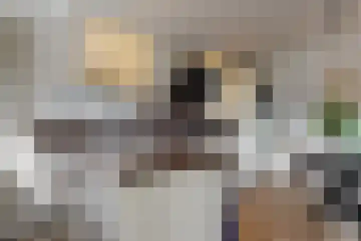 Eikstraat 36 Nieuwegein thumbnail 7