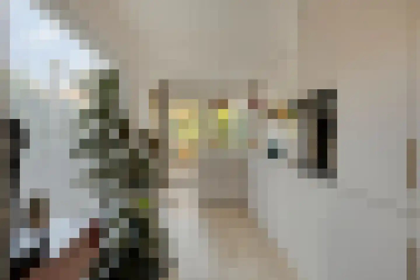 Eikstraat 36 Tilburg thumbnail 14