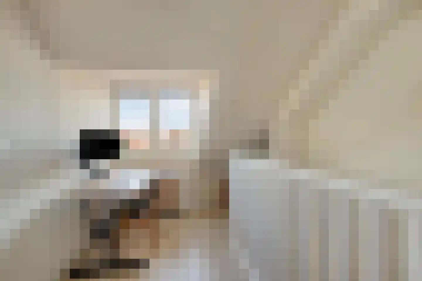 Eikstraat 36 Tilburg thumbnail 23