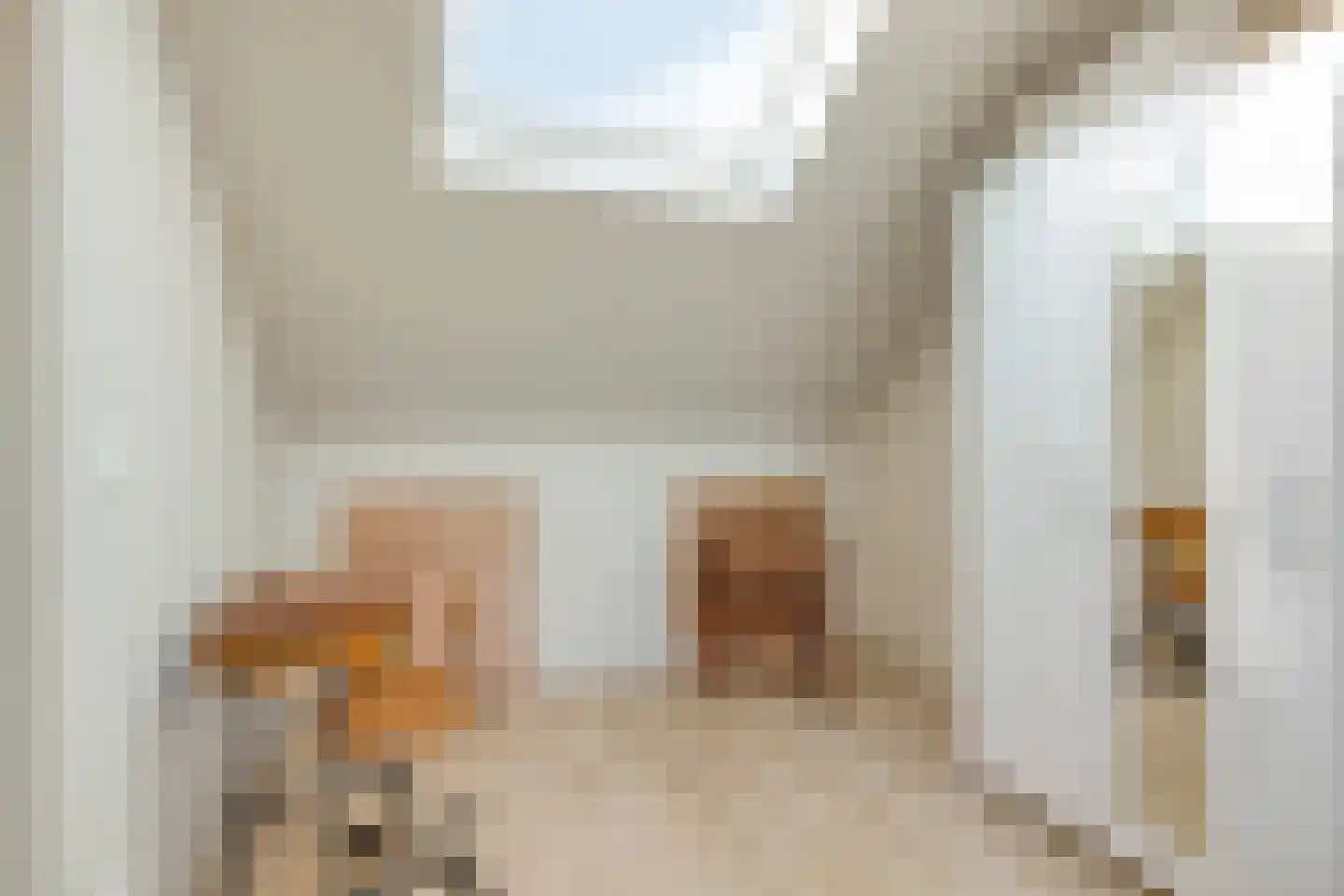 Eikstraat 36 Tilburg thumbnail 26