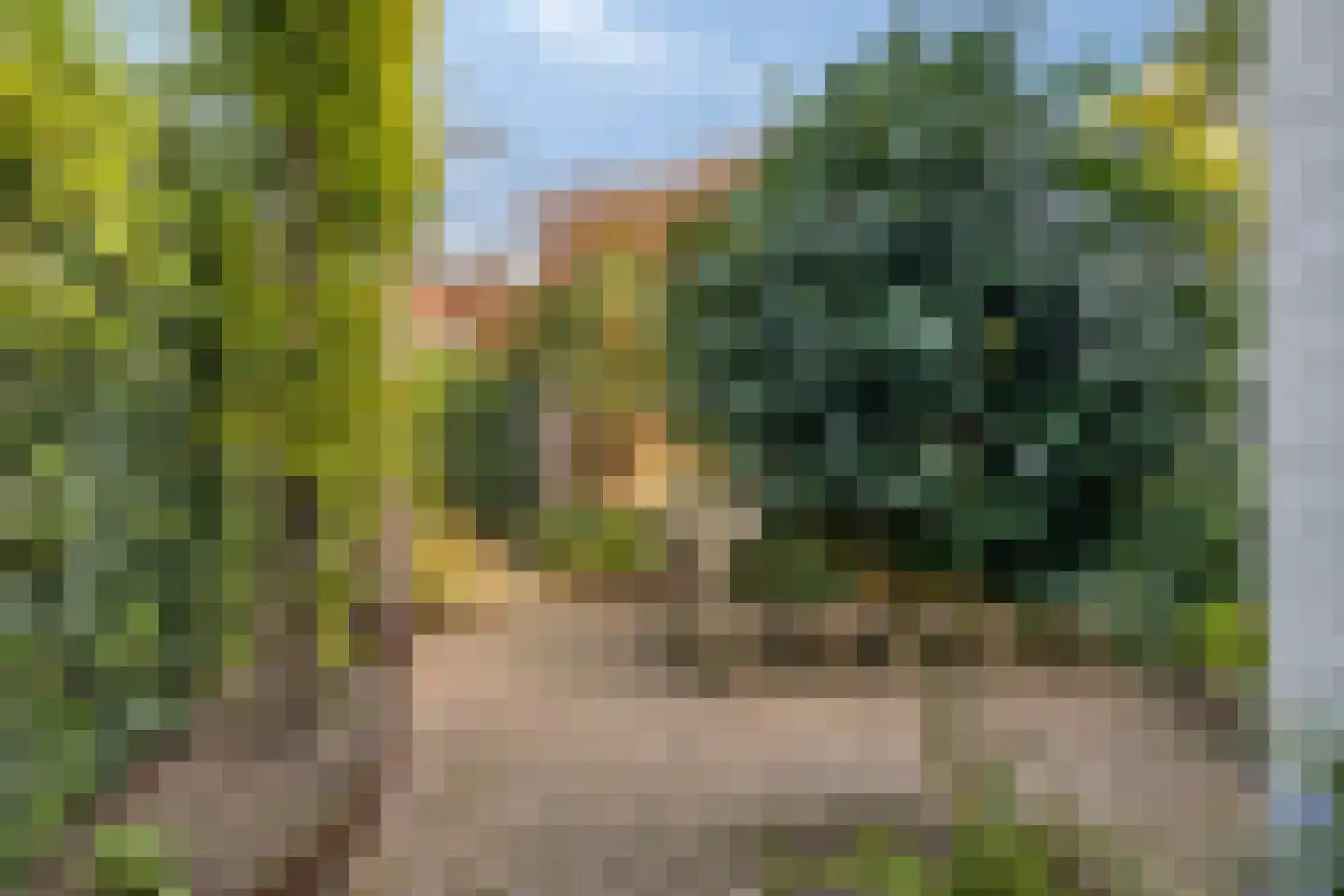 Eikstraat 36 Tilburg thumbnail 29