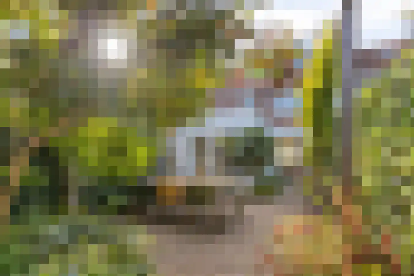 Eikstraat 36 Tilburg thumbnail 8