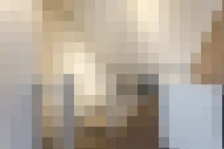 Eikstraat 4 Boven-Leeuwen thumbnail 30