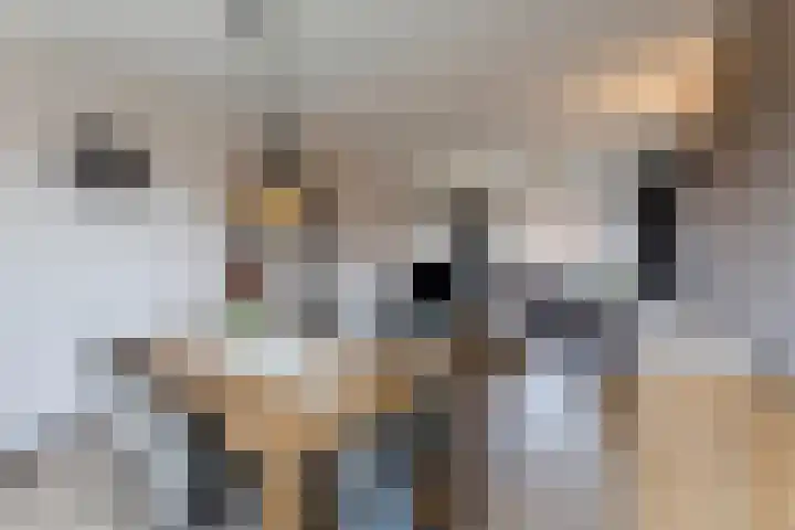 Eikstraat 4 Boven-Leeuwen thumbnail 9