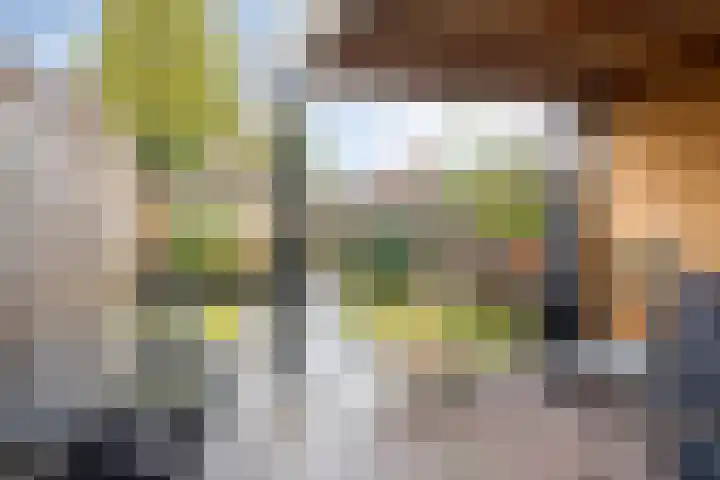 Eikstraat 4 Oldenzaal thumbnail 21