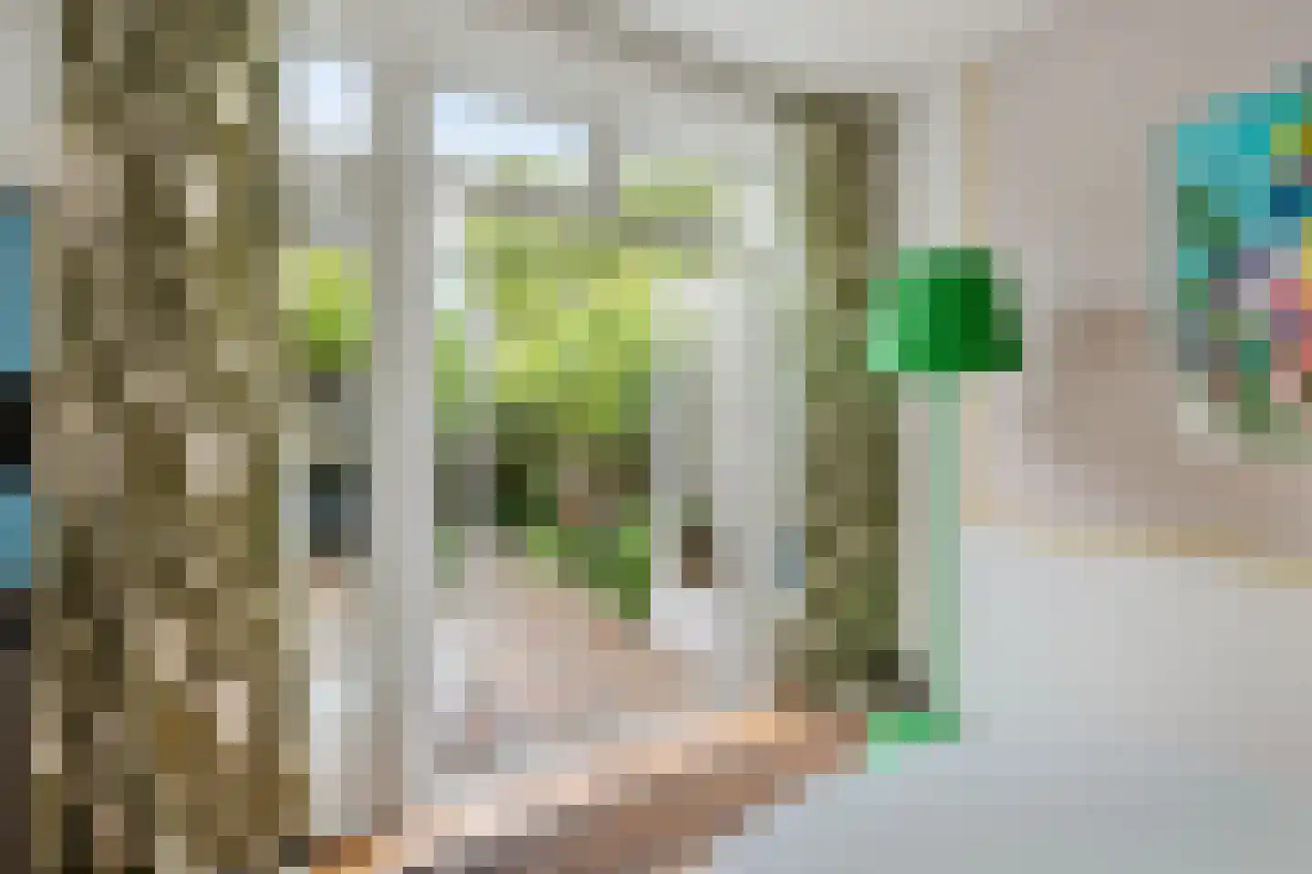 Eikstraat 47 Utrecht thumbnail 16