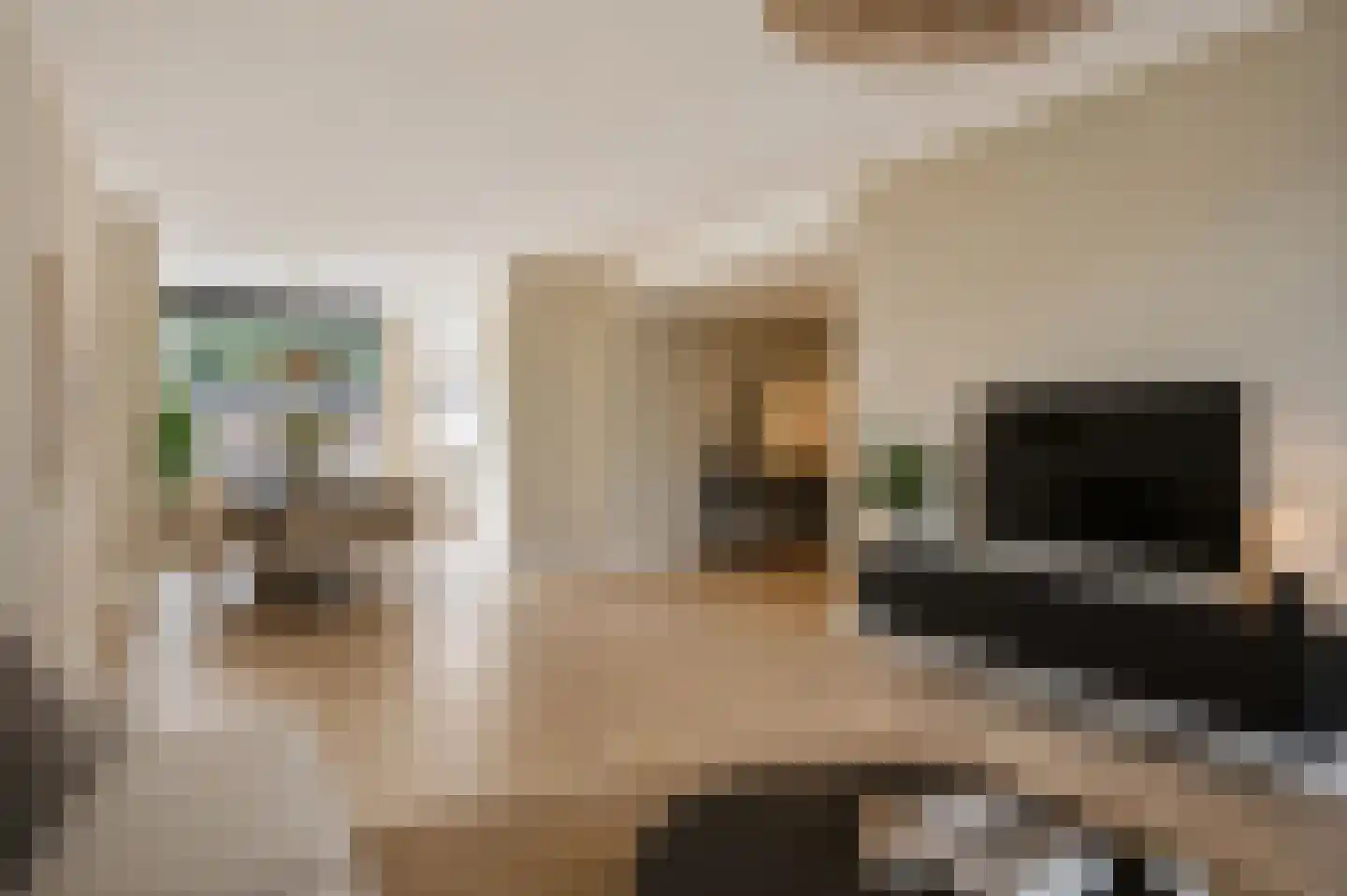 Eikstraat 5 Beek thumbnail 7