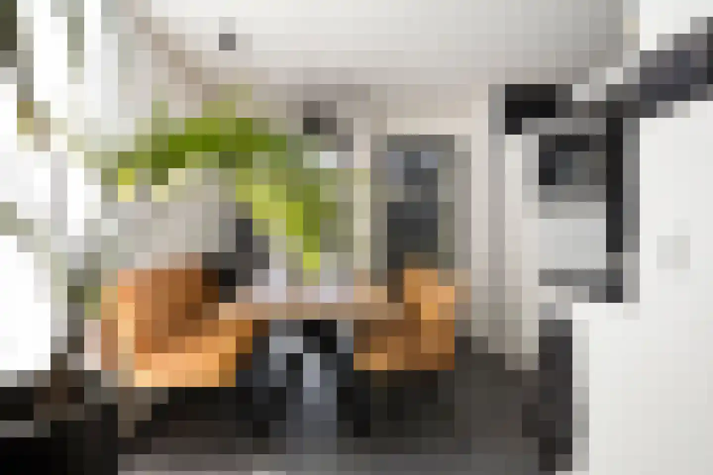 Eikstraat 5 Oldenzaal thumbnail 8