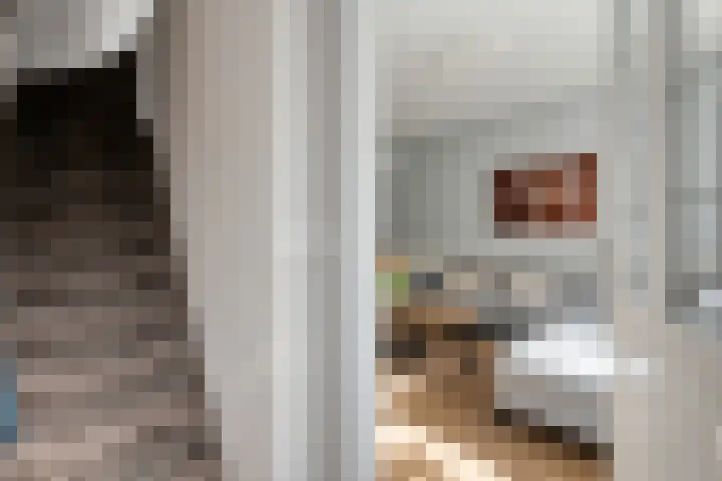 Eikstraat 54 Enschede thumbnail 8