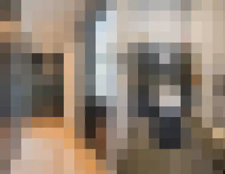 Eikstraat 73 Tilburg thumbnail 16
