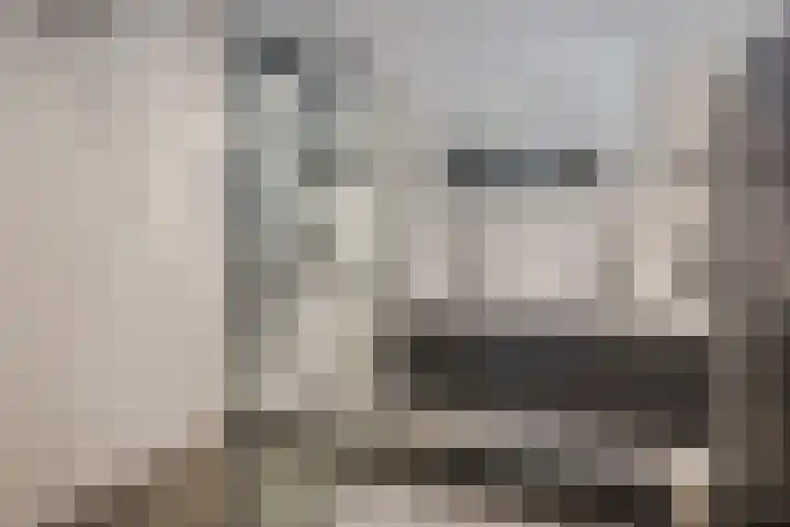 Eikstraat 73 Tilburg thumbnail 18