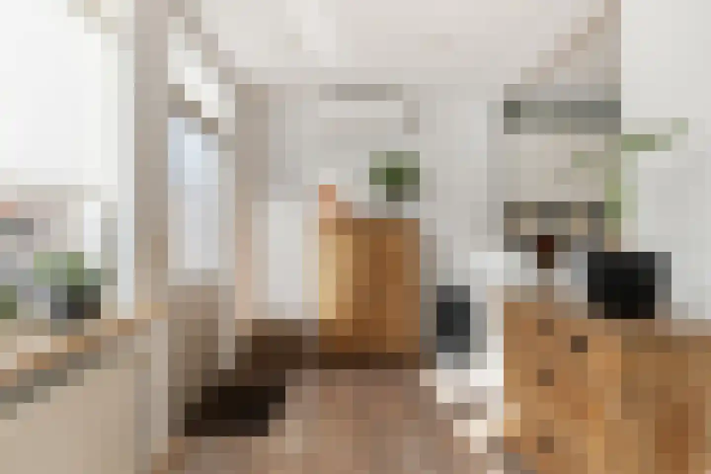 Eikstraat 8 Steenbergen thumbnail 17