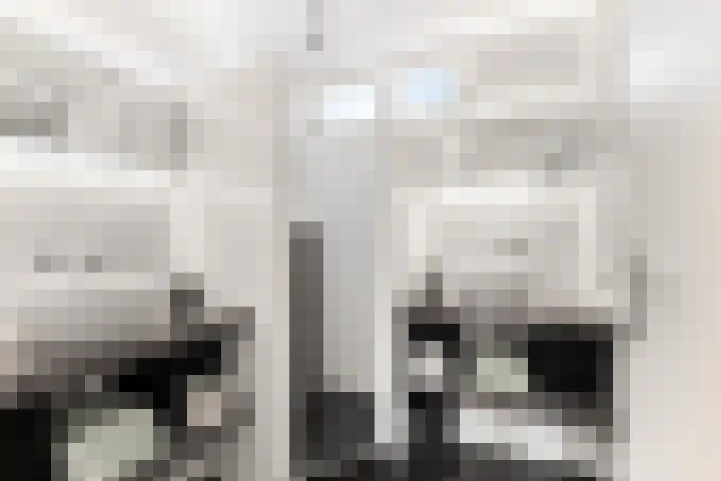 Eikstraat 8 Steenbergen thumbnail 22