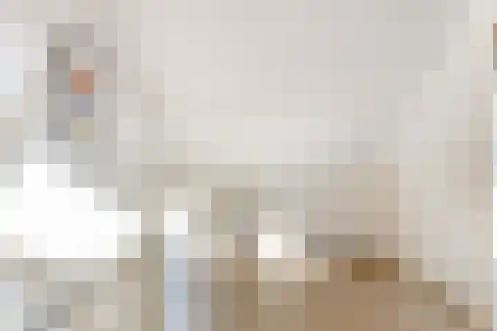 Eikstraat 8 Steenbergen thumbnail 28