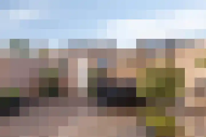 Eikstraat 8 Steenbergen thumbnail 32