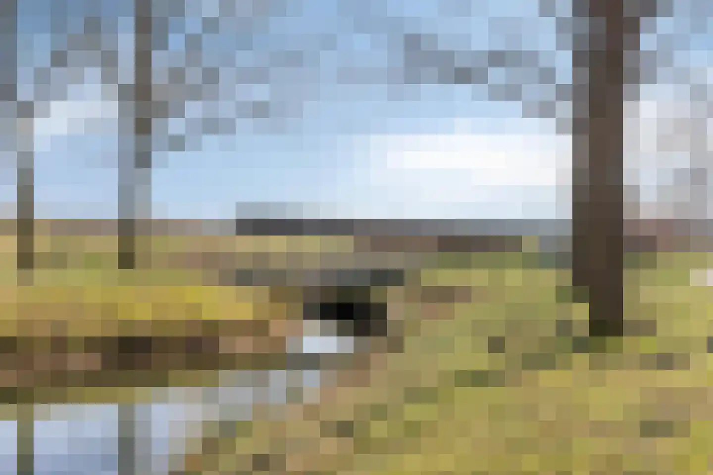 Eikstraat 8 Steenbergen thumbnail 38