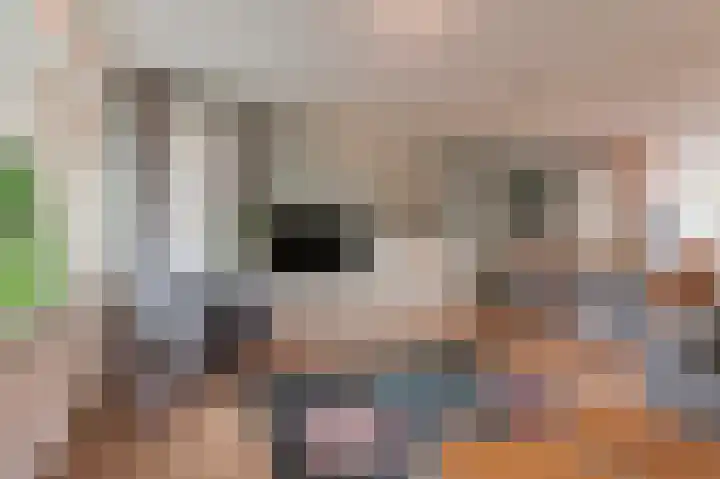 Eikvaren 15 Culemborg thumbnail 12