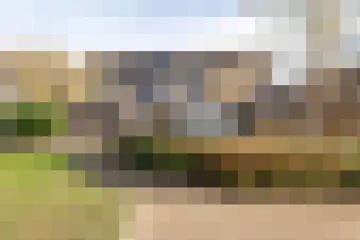 Eikvaren 15 Culemborg thumbnail 33