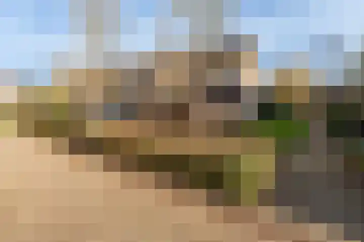 Eikvaren 15 Culemborg thumbnail 34