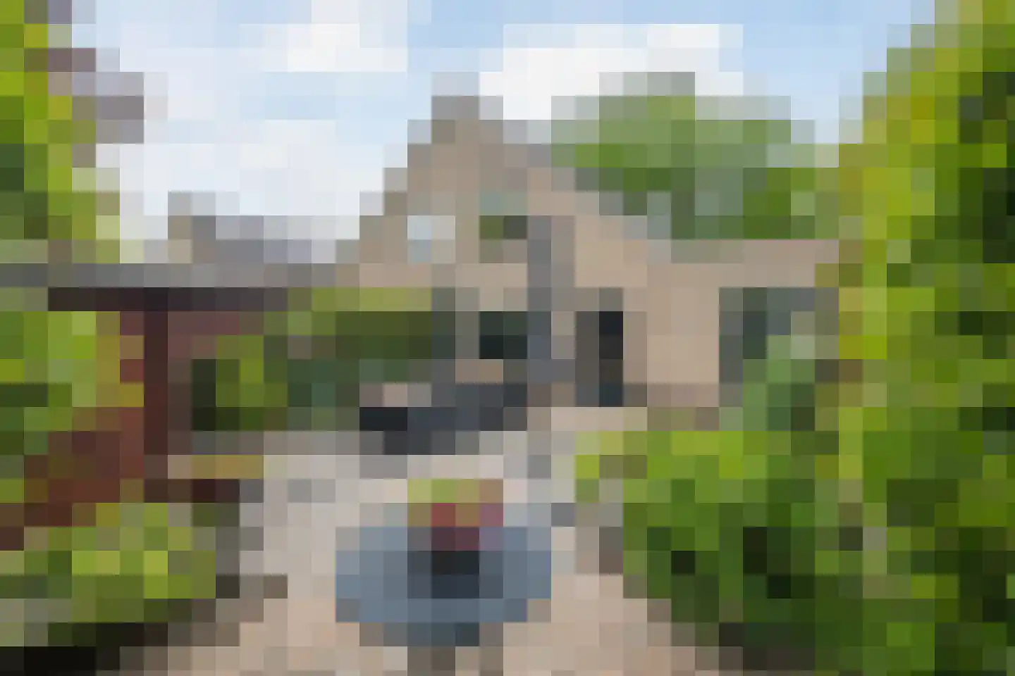 Eikvaren 36 Deventer thumbnail 33