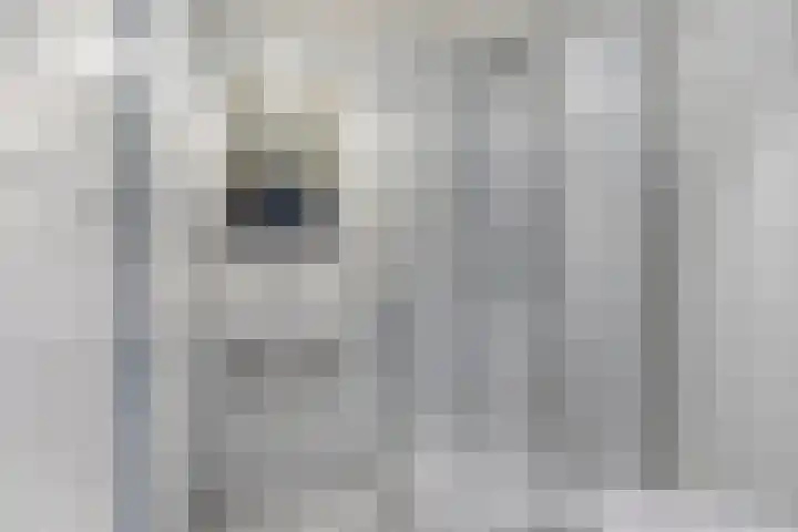 Eikvaren 4 Deventer thumbnail 13