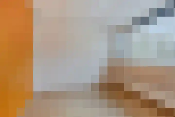 Eikvaren 4 Deventer thumbnail 16