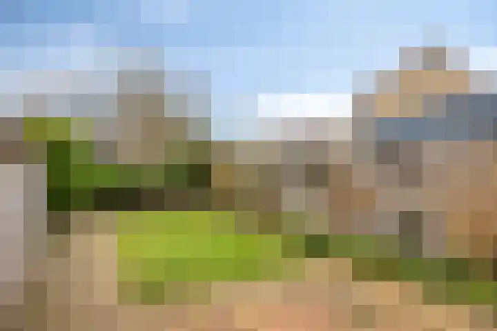 Eikvaren 4 Deventer thumbnail 21
