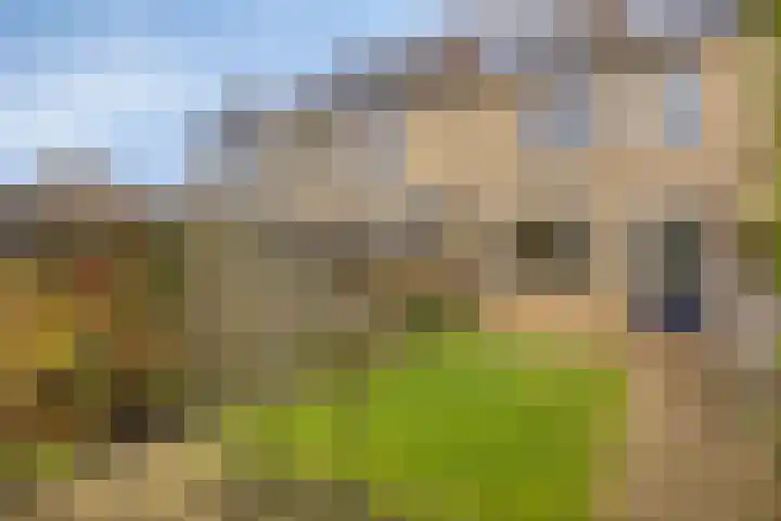 Eikvaren 4 Deventer thumbnail 22