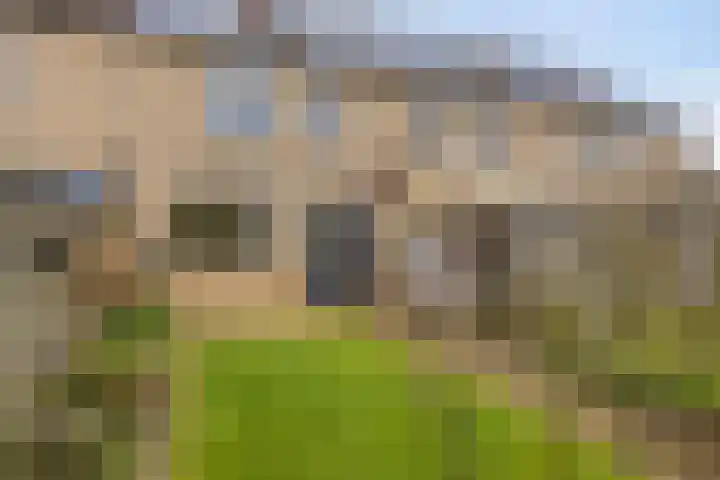 Eikvaren 4 Deventer thumbnail 23