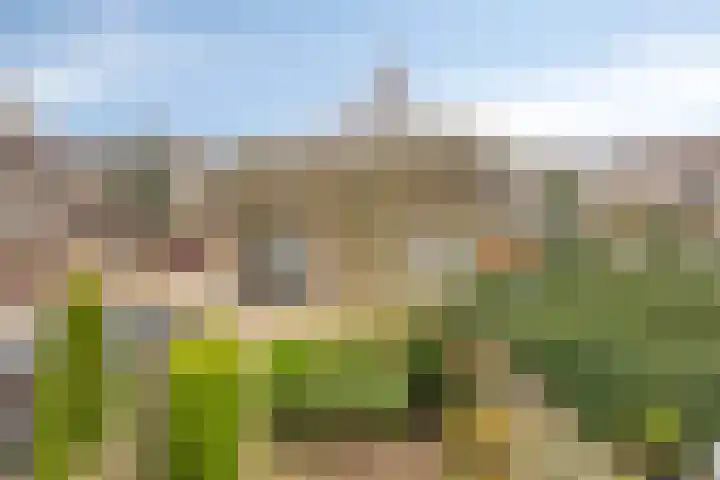 Eikvaren 4 Deventer thumbnail 26