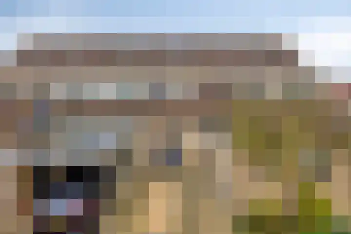Eikvaren 4 Deventer thumbnail 28