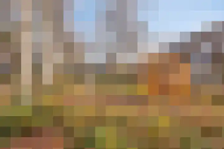 Eikvaren 4 Deventer thumbnail 31
