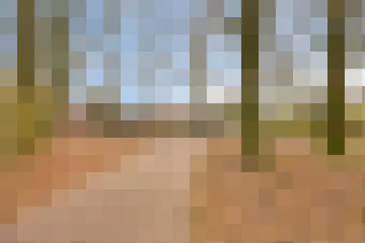 Eikvaren 4 Deventer thumbnail 32