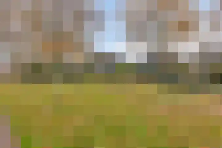Eikvaren 4 Deventer thumbnail 33